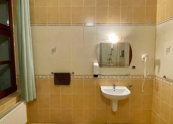 - Palac Slonowice 4*